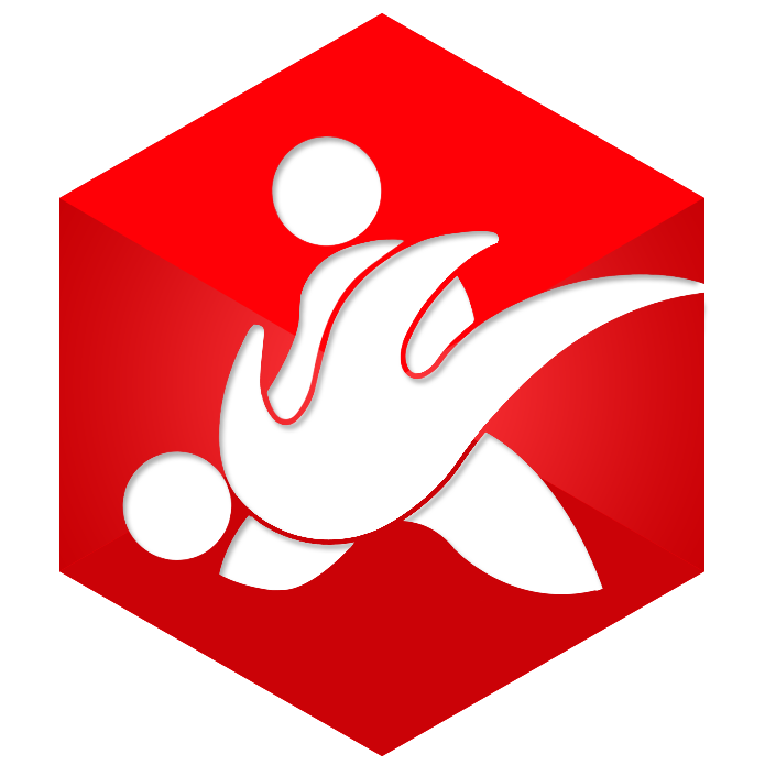 Ukemi Group